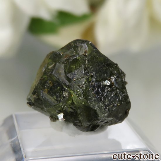 ꥫ ɽ Portland Mine  ե饤ȡѥ饤Ȥθ No.1μ̿0 cute stone