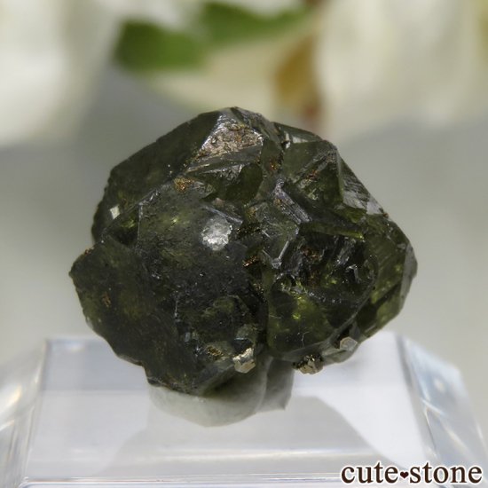 ꥫ ɽ Portland Mine  ե饤ȡѥ饤Ȥθ No.1μ̿1 cute stone