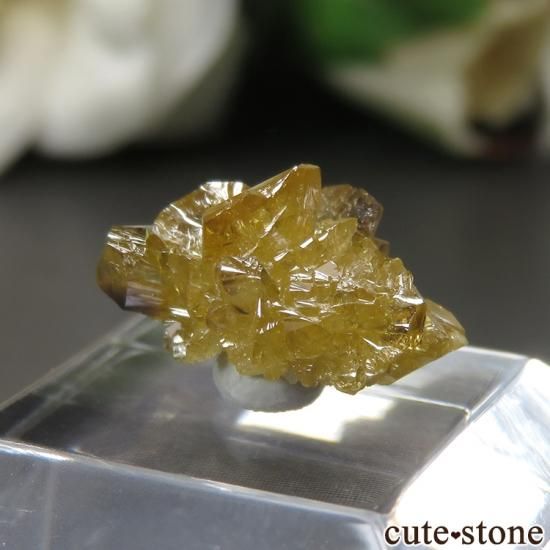 ꥫ ˥塼衼 Lockport  ե饤Ȥθ No.1μ̿1 cute stone