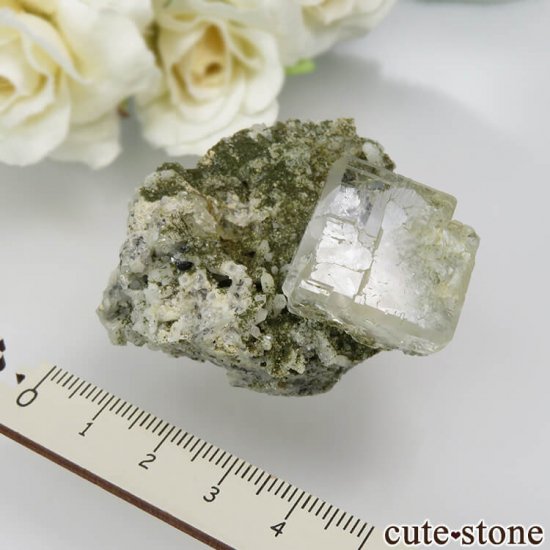  ͥ륹 顼쥹ե饤ȡĤդ뾽() No.9μ̿4 cute stone