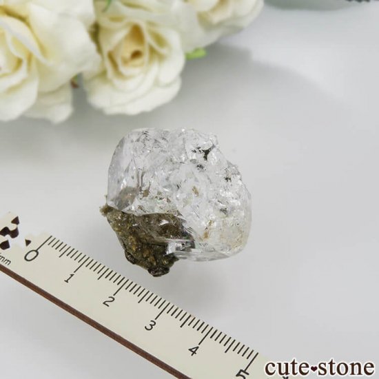  ͥ륹 顼쥹ե饤ȡĤդ뾽() No.10μ̿6 cute stone