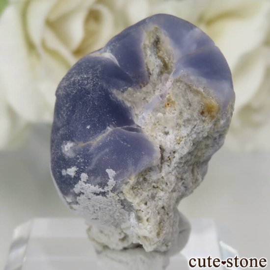  Minggang-Mine ѡץ֥롼ե饤Ȥθ No.19μ̿2 cute stone