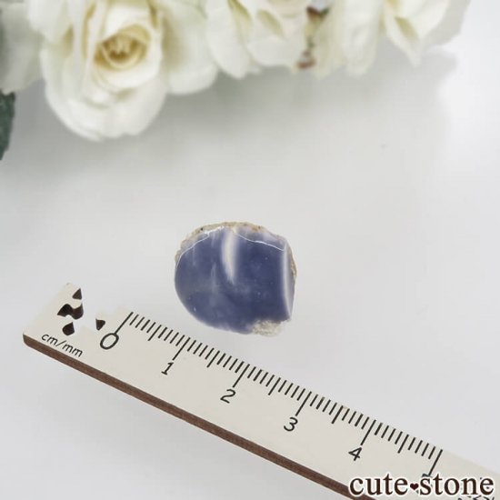  Minggang-Mine ѡץ֥롼ե饤Ȥθ No.21μ̿2 cute stone