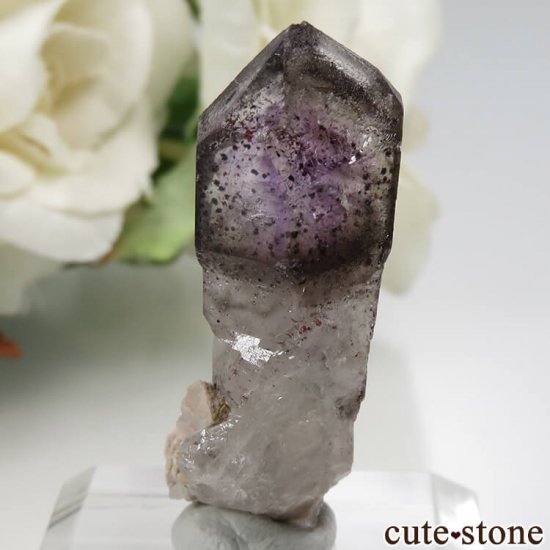 ʥߥӥ ֥ɥСBrandberg˻ ᥸Ȥθ No.12μ̿0 cute stone