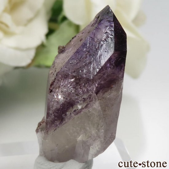 ʥߥӥ ֥ɥСBrandberg˻ ᥸Ȥθ No.13μ̿1 cute stone