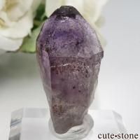 ʥߥӥ ֥ɥСBrandberg˻ ᥸Ȥθ No.13β