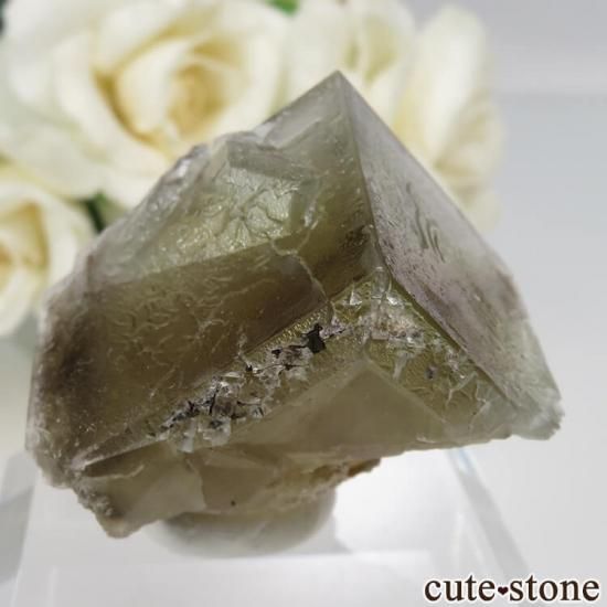 ǥʥ٥ Sherry Twins Pocket ե饤Ȥη뾽ʸСNo.12μ̿1 cute stone