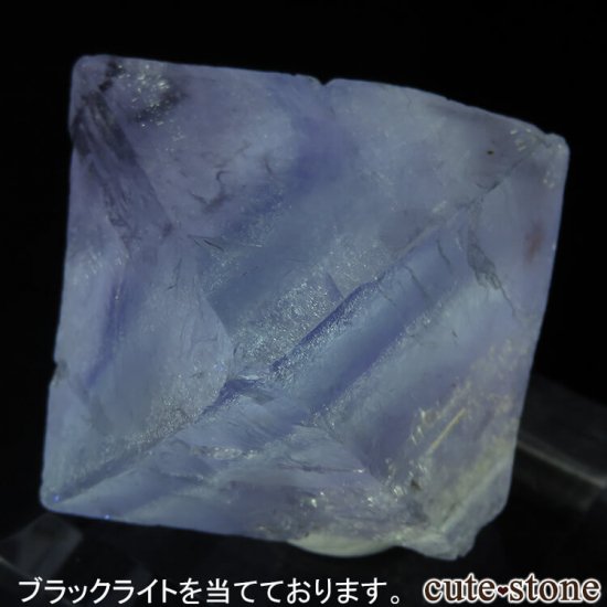 ꥫ Υ Cave-in-Rock ȬΡʤؤ뾽˥ե饤 No.14μ̿0 cute stone