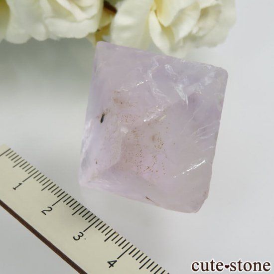 ꥫ Υ Cave-in-Rock ȬΡʤؤ뾽˥ե饤 No.14μ̿6 cute stone