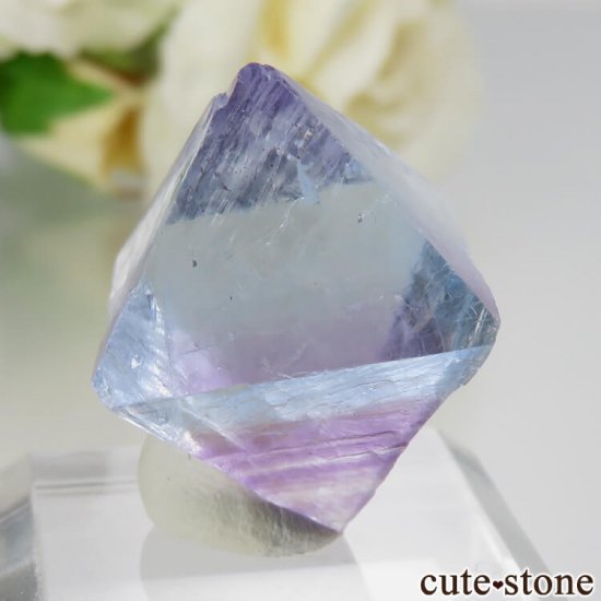 ꥫ Υ Cave-in-Rock ȬΡʤؤ뾽˥֥롼ߥѡץե饤 No.16μ̿0 cute stone