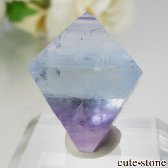 ꥫ Υ Cave-in-Rock ȬΡʤؤ뾽˥֥롼ߥѡץե饤 No.16μ̿1 cute stone