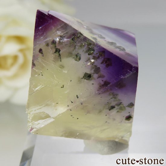 ꥫ Υ Cave-in-Rock ȬΡʤؤ뾽˥ե饤 No.18μ̿0 cute stone