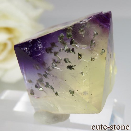ꥫ Υ Cave-in-Rock ȬΡʤؤ뾽˥ե饤 No.18μ̿2 cute stone