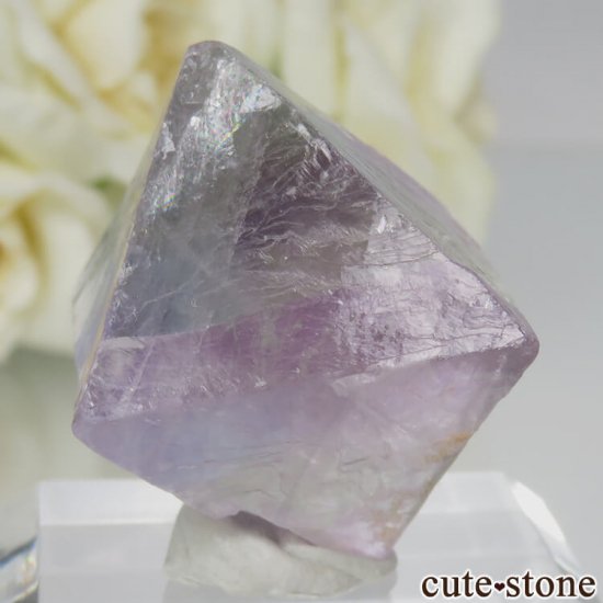 ꥫ Υ Cave-in-Rock ȬΡʤؤ뾽˥ե饤 No.19μ̿0 cute stone