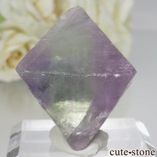 ꥫ Υ Cave-in-Rock ȬΡʤؤ뾽˥ե饤 No.19μ̿1 cute stone