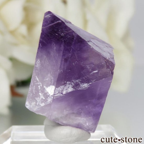 ꥫ Υ Cave-in-Rock ȬΡʤؤ뾽˥ե饤 No.20μ̿0 cute stone
