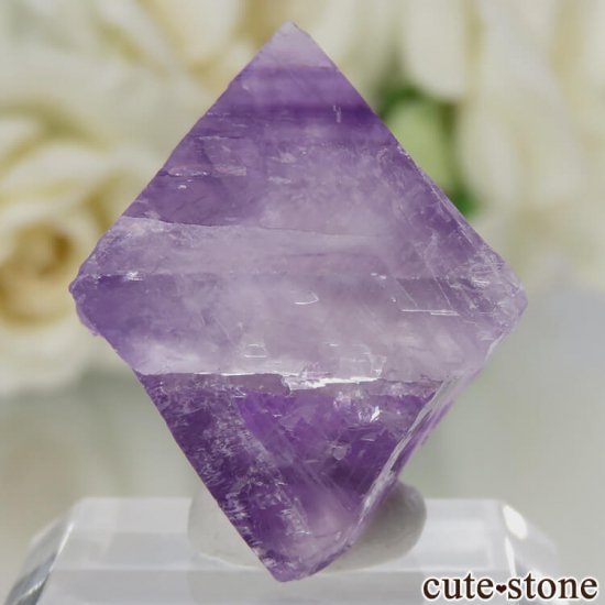 ꥫ Υ Cave-in-Rock ȬΡʤؤ뾽˥ե饤 No.20μ̿1 cute stone