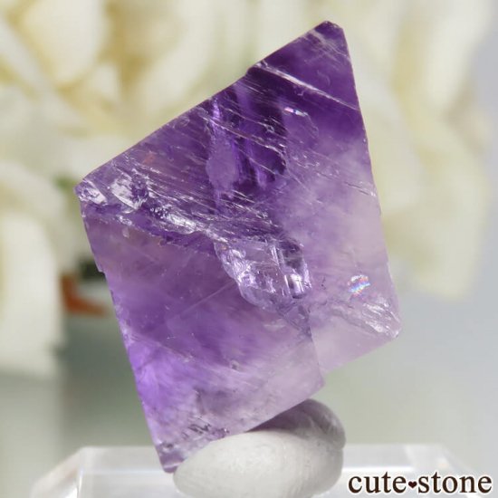 ꥫ Υ Cave-in-Rock ȬΡʤؤ뾽˥ե饤 No.20μ̿2 cute stone