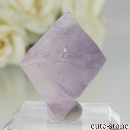 ꥫ Υ Cave-in-Rock ȬΡʤؤ뾽˥ե饤 No.21μ̿1 cute stone