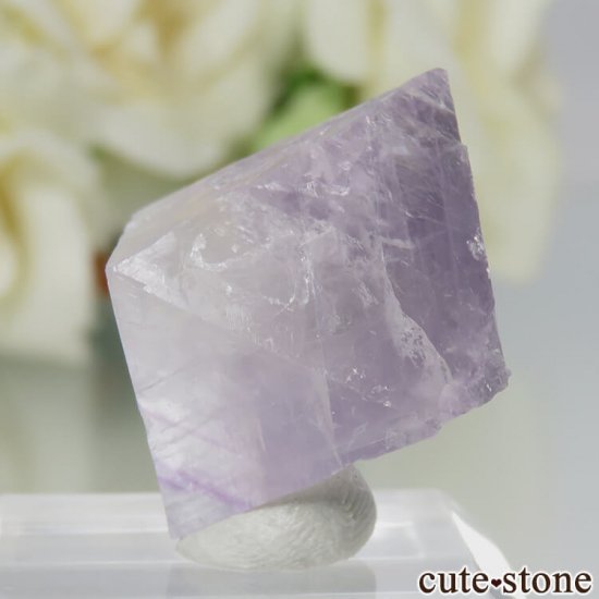 ꥫ Υ Cave-in-Rock ȬΡʤؤ뾽˥ե饤 No.21μ̿2 cute stone