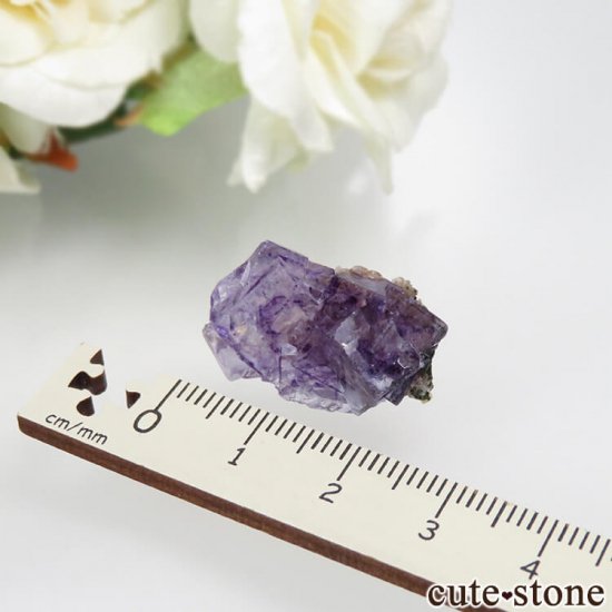 䥪󥷥 ѡץե饤Ȥθ No.54μ̿0 cute stone