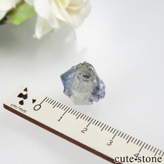 䥪󥷥 ե饤ȡĤθ No.57μ̿0 cute stone