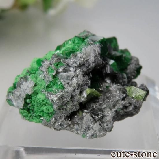 ロシア Saranovskii Mine産 ウバロバイトガーネット&スフェーン&クリノクロアの母岩付き結晶(原石)No.5の写真0 cute stone