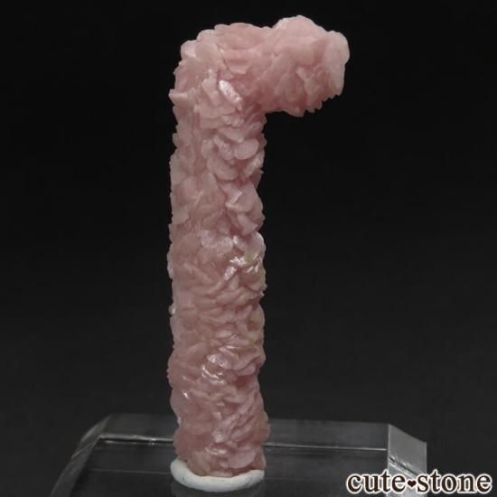 를󤫤äƤ󥢥ʥߤʥɥȤμ̿1 cute stone