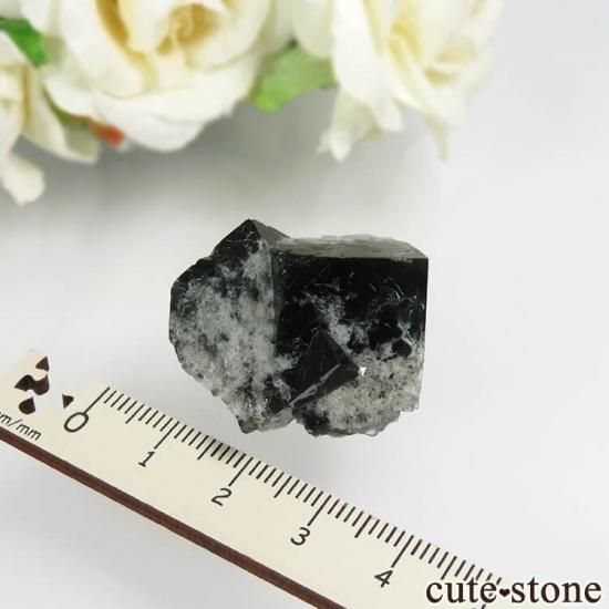 Diana Mariaۻ Milky Way Pocket ָե饤Ȥθ No.13μ̿1 cute stone