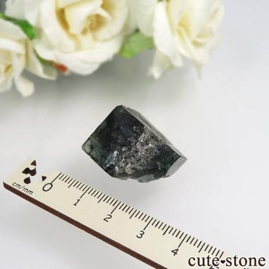 Diana Mariaۻ Milky Way Pocket ָե饤Ȥθ No.14μ̿1 cute stone