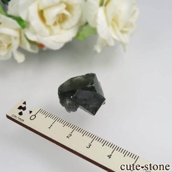 Diana Mariaۻ Milky Way Pocket ָե饤Ȥθ No.15μ̿1 cute stone