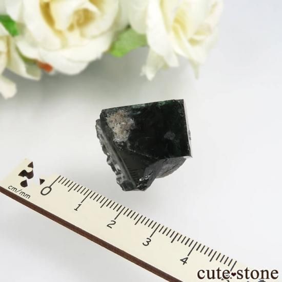 Diana Mariaۻ Milky Way Pocket ָե饤Ȥθ No.16μ̿1 cute stone