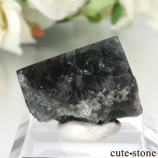 Diana Mariaۻ Milky Way Pocket ָե饤Ȥθ No.18μ̿0 cute stone