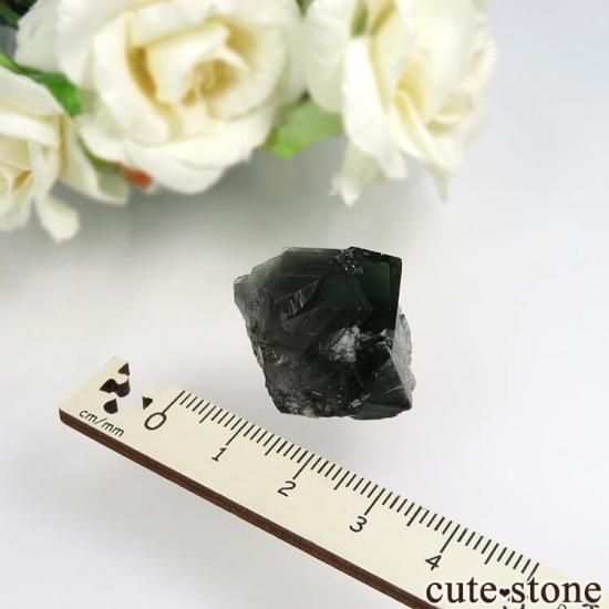 Diana Mariaۻ Milky Way Pocket ָե饤Ȥθ No.20μ̿1 cute stone