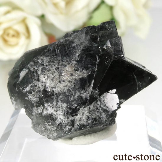 Diana Mariaۻ Milky Way Pocket ָե饤Ȥθ No.21μ̿0 cute stone