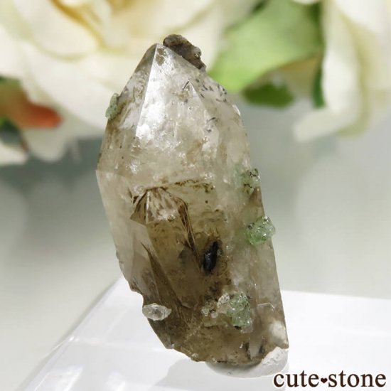󥶥˥ Merelani Hills ĥܥ饤ȡʥͥåȡˡĤθ No.19μ̿0 cute stone