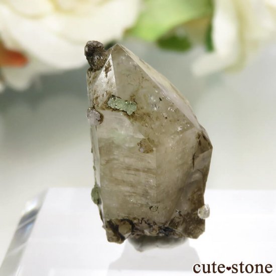 󥶥˥ Merelani Hills ĥܥ饤ȡʥͥåȡˡĤθ No.19μ̿1 cute stone