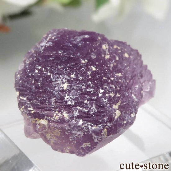 ᥭ ﻺ ѡץե饤Ȥθ No.1μ̿0 cute stone