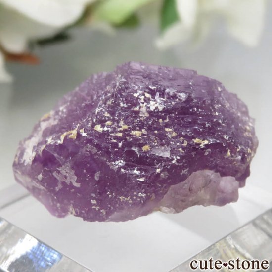 ᥭ ﻺ ѡץե饤Ȥθ No.1μ̿1 cute stone