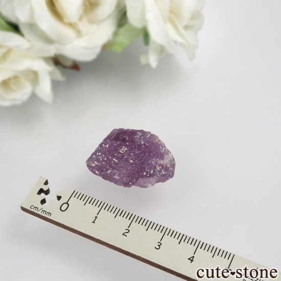 ᥭ ﻺ ѡץե饤Ȥθ No.1μ̿3 cute stone
