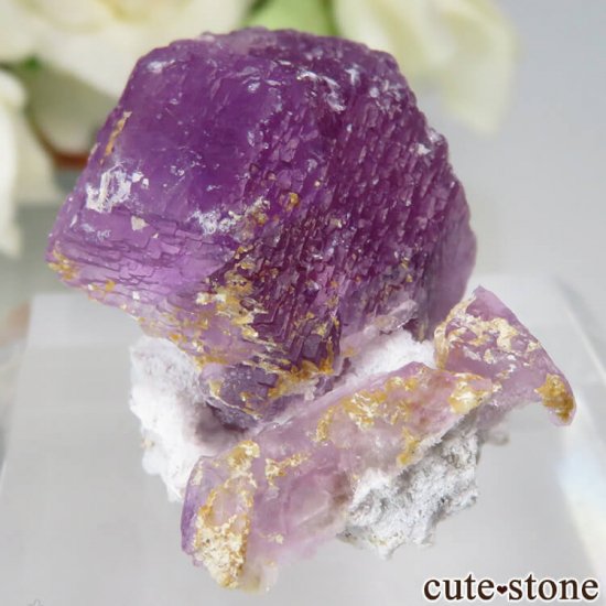 ᥭ ﻺ ѡץե饤Ȥθ No.2μ̿0 cute stone