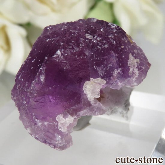 ᥭ ﻺ ѡץե饤Ȥθ No.2μ̿1 cute stone