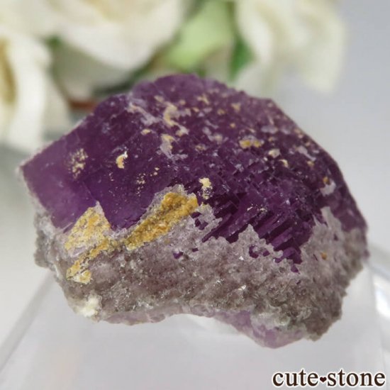 ᥭ ﻺ ѡץե饤Ȥθ No.3μ̿0 cute stone