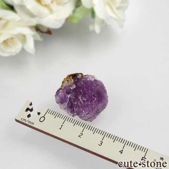 ᥭ ﻺ ѡץե饤Ȥθ No.4μ̿2 cute stone