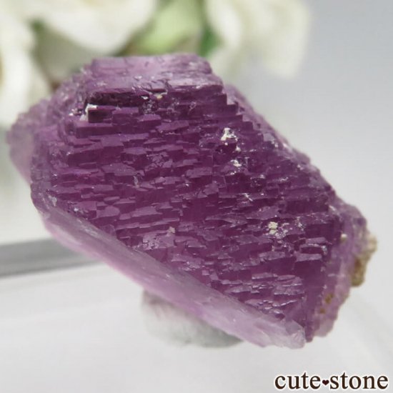 ᥭ ﻺ ѡץե饤Ȥθ No.5μ̿0 cute stone