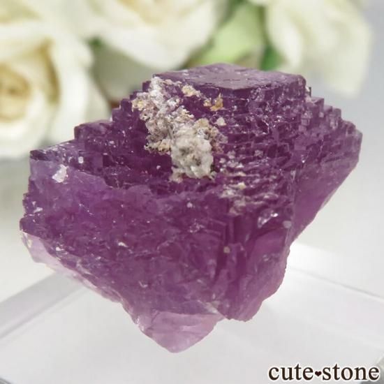 ᥭ ﻺ ѡץե饤Ȥθ No.5μ̿1 cute stone