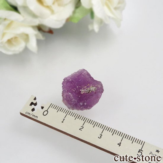 ᥭ ﻺ ѡץե饤Ȥθ No.5μ̿3 cute stone