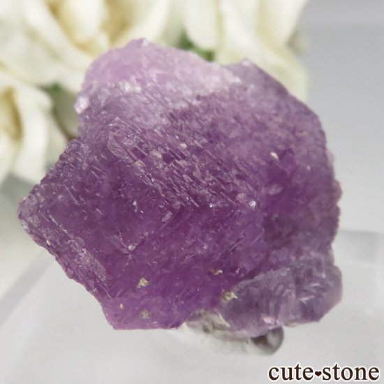 ᥭ ﻺ ѡץե饤Ȥθ No.6μ̿0 cute stone