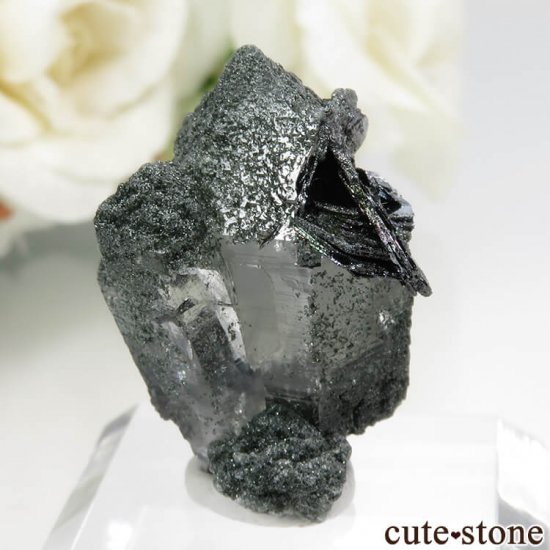 ѥ Tormiq valleyġإޥȤθ No.1μ̿0 cute stone