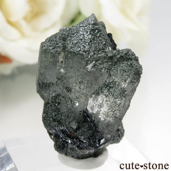 ѥ Tormiq valleyġإޥȤθ No.1μ̿1 cute stone